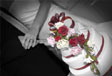 Mellon country Hotel Wedding Package